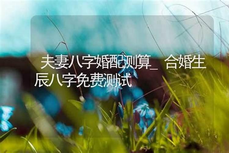 算两个人合不合适八字准吗,算两个人的生辰八字是否合适