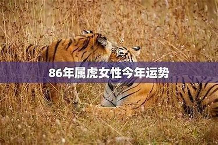 潍坊财神节怎么过