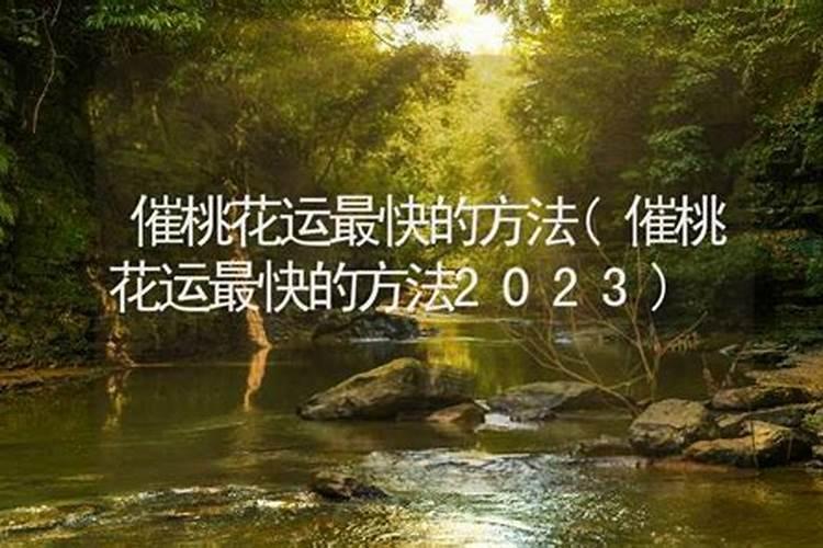 溆浦县的风俗文化
