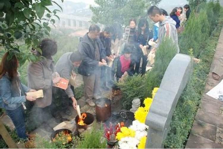 属猪今年运势2026年运势如何呢