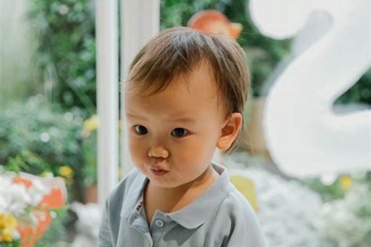婴儿会做梦吗