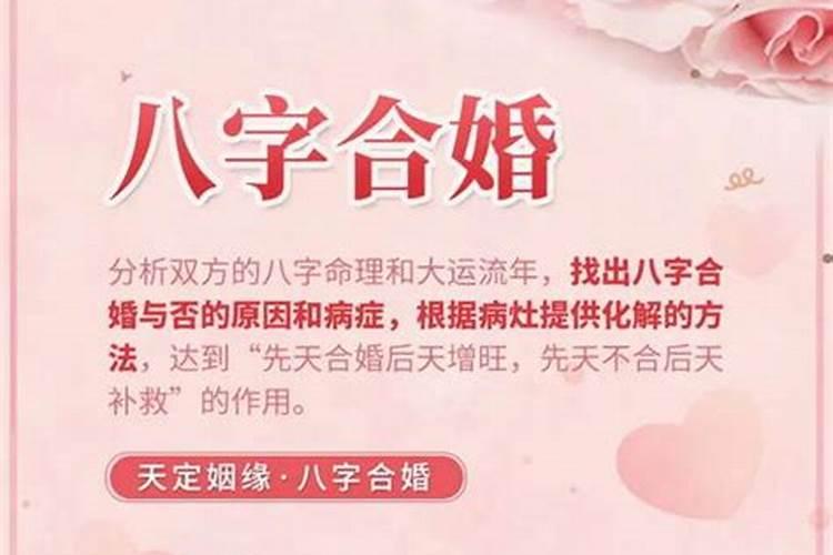 划龙舟是上午还是下午