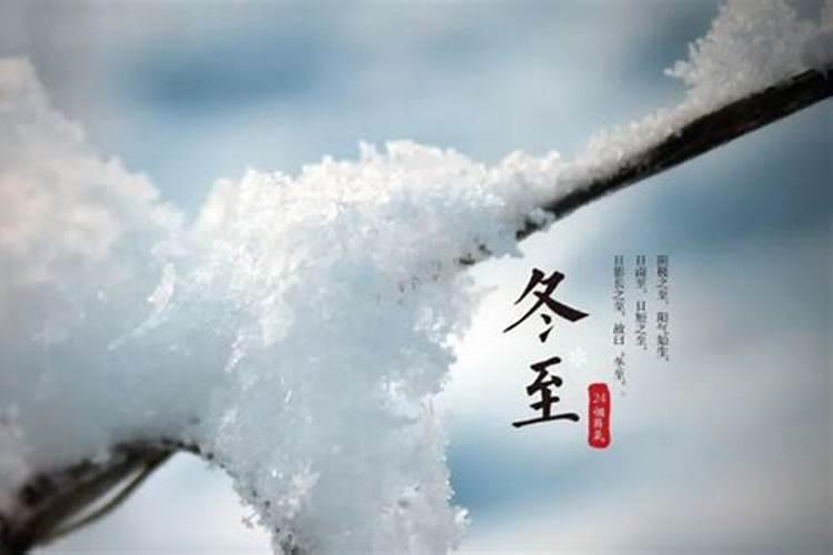 81年属鸡人在2025年的全年运势