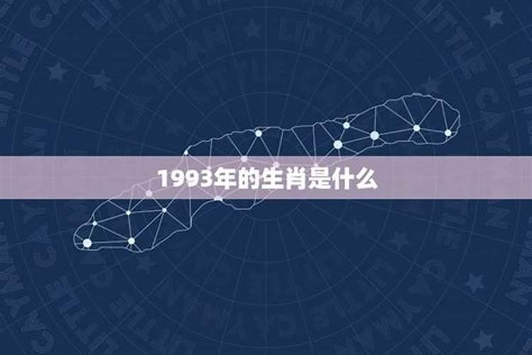 什么属相能养猫能旺财