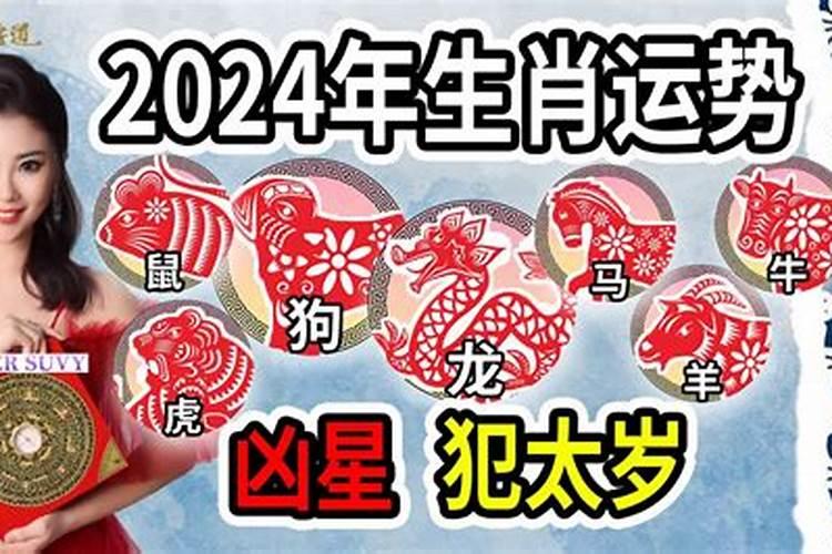龙年和什么属相犯冲