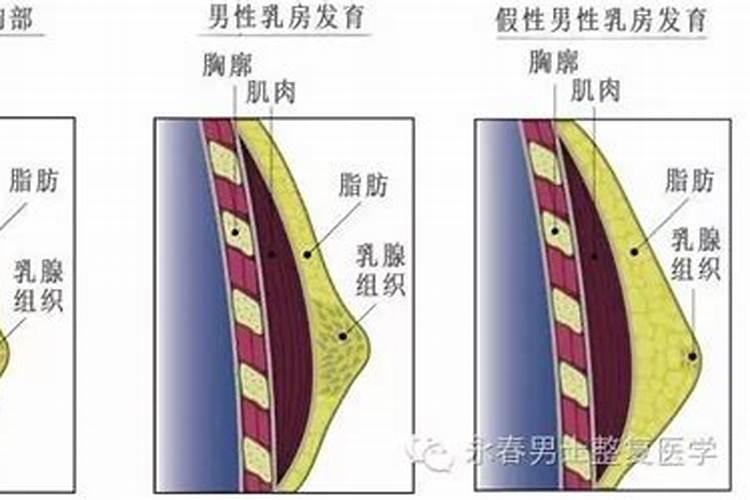 梦见乳房是怎么回事？