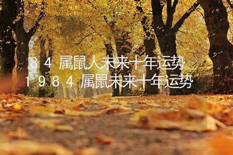 84年的鼠2025年的运势及运程