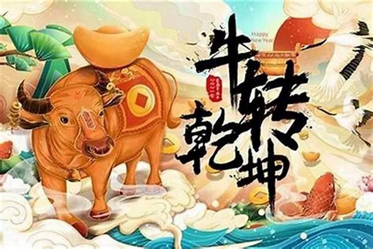 梦见车祸死人现场很惨