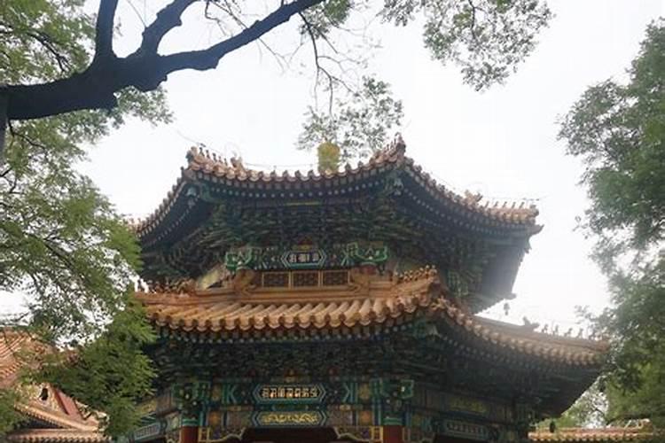 梦见死人复活什么预兆
