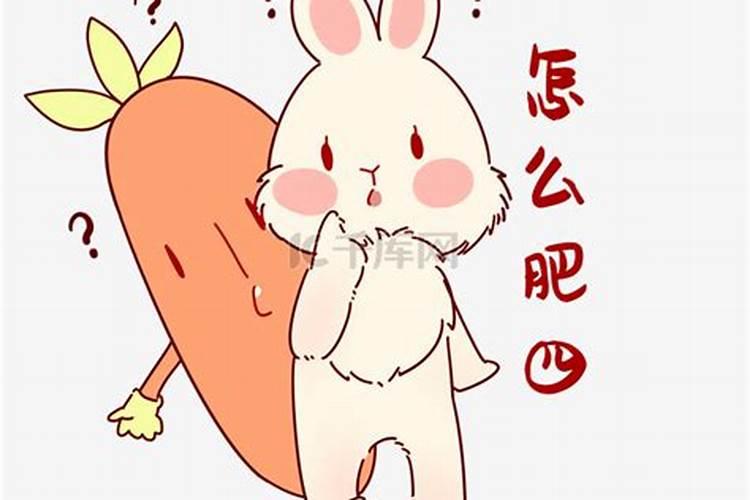 属狗人2025年全年运势
