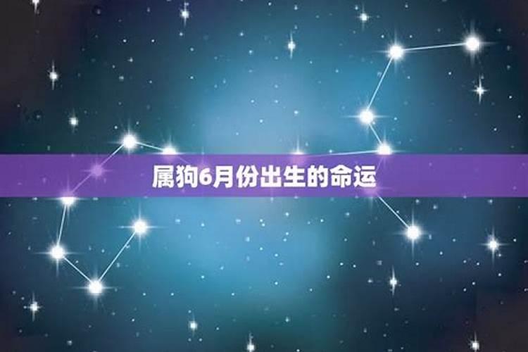 生于1979年农历6月初5人的运程