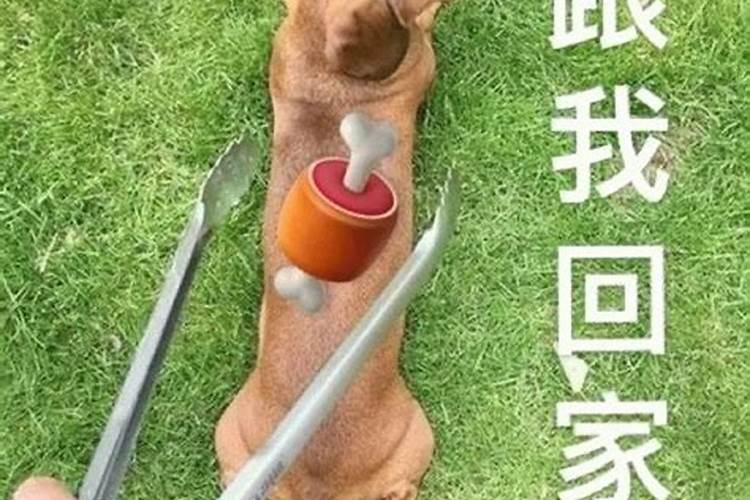 清明节生的宝宝好吗？