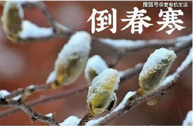66年女人属马一生命运 性格如何？