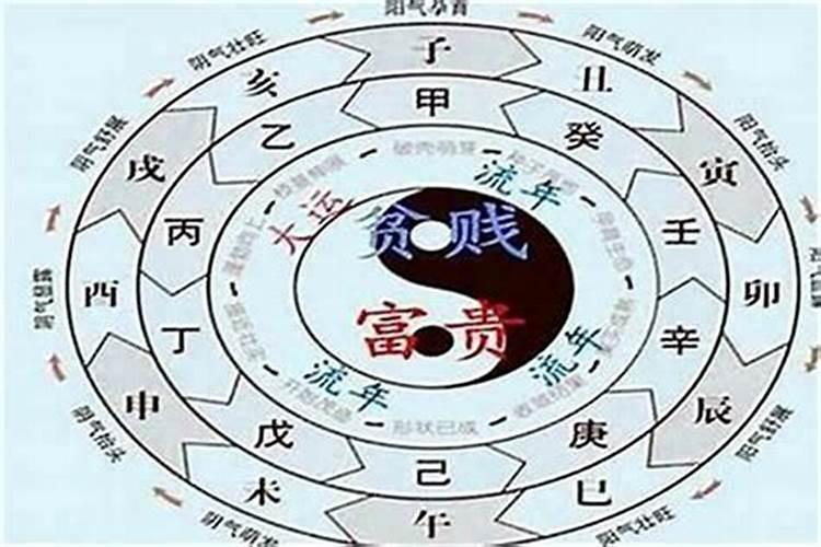 1979闰六月是什么命