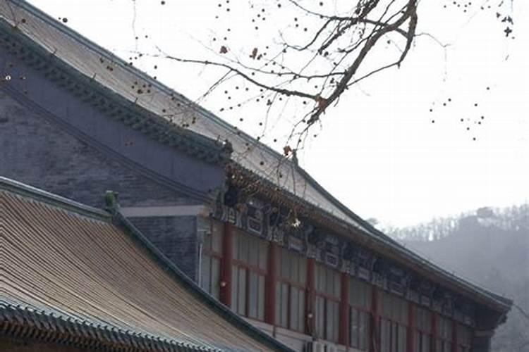 和尚可以去道观做法事吗为什么？
