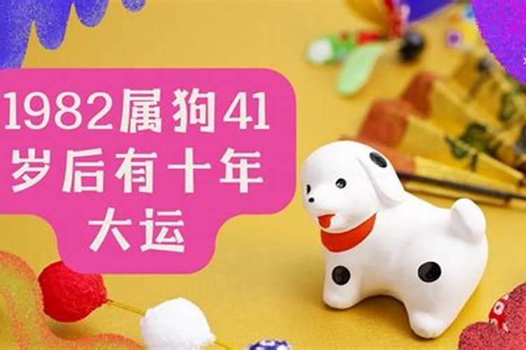 82年狗40岁后十年大运运程属狗人的整体运势