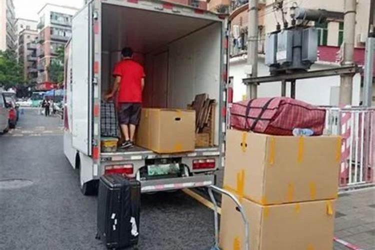 梦见蛇被砍断了的预兆