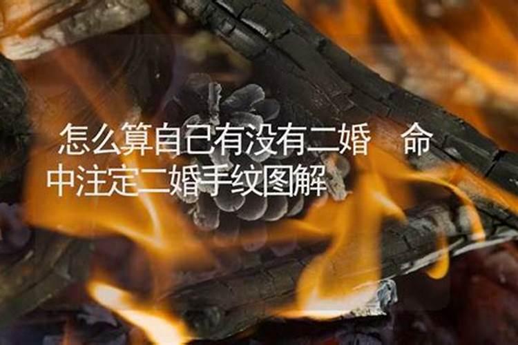 2025开始走大运的生肖