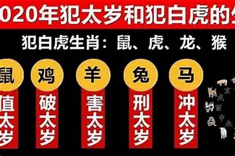 鼠年犯太岁的属相 属鼠犯太岁化解方法
