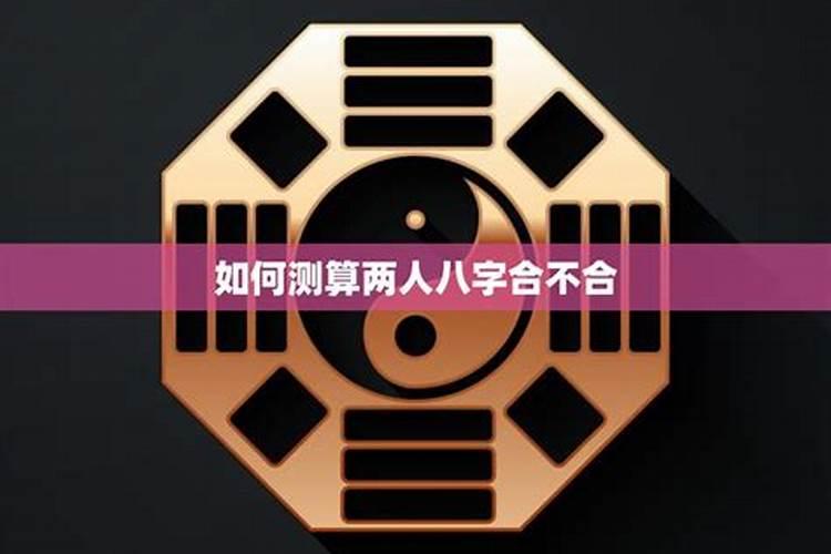 属马的人十二生肖流年财运马逢免年事顺财足？