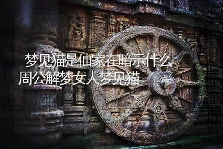 梦到亲人出车祸了预示什么