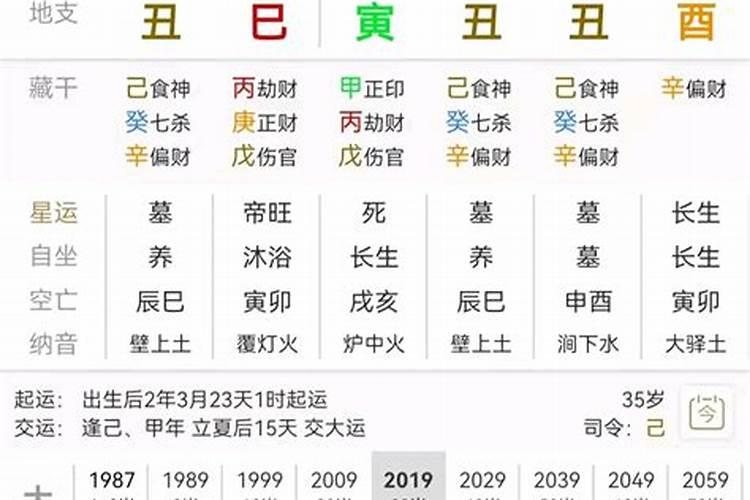 八字乾造辛未辛丑戊子癸丑走丁酉大运好吗？