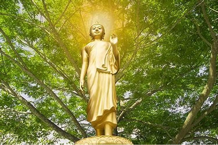 观音送子是什么意思