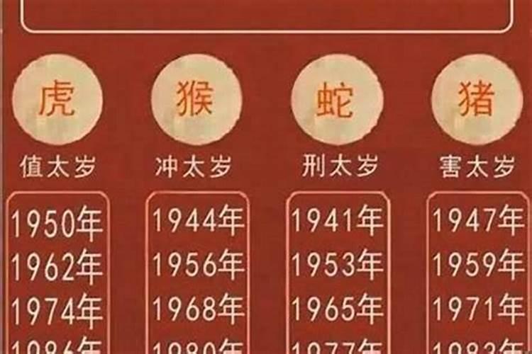 95年猪男2025的婚姻和事业运势