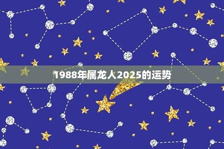 1988年属龙2025年运势如何