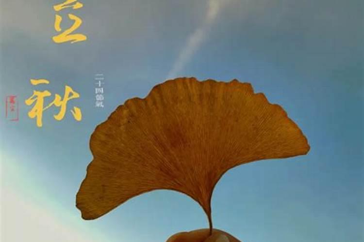 1975属兔2025年的运势及运程