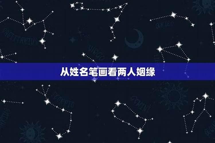属马的几月出生最好属马人的一生运势
