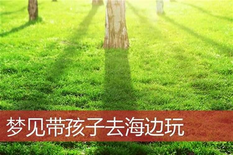 男兔女猴的属相合不合
