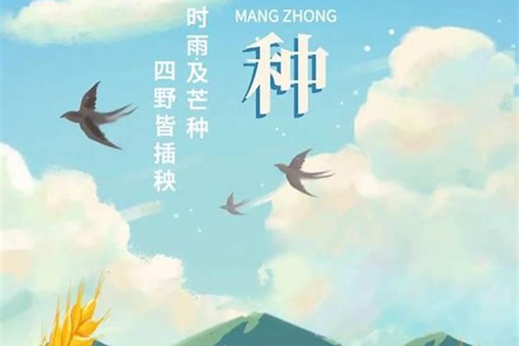 芒种”时节,各大区农事要注意些什么