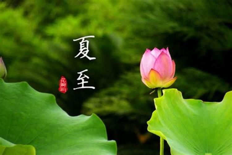 老话说“芒种节气有三怕”,三怕指什么？为何会害怕？有什么特点