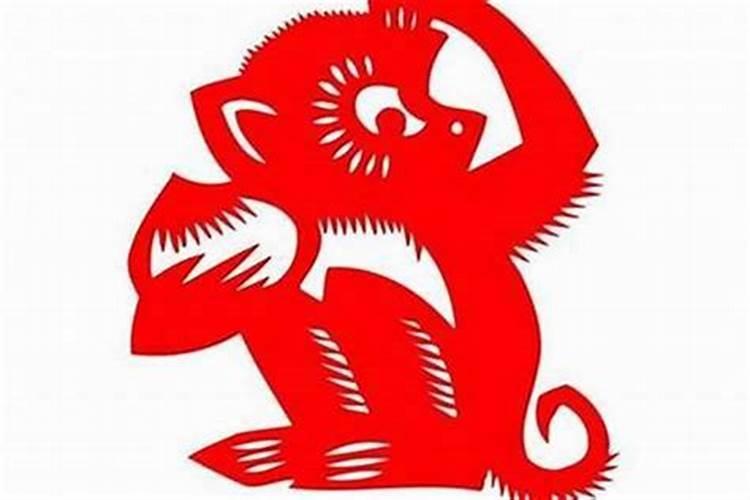 属羊.农历五月二十一出生。1991年的。命怎样？