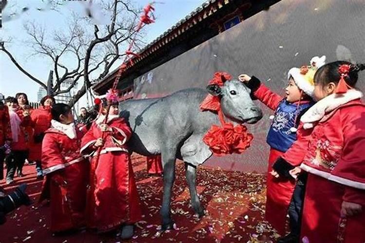 刑太岁怎么化解