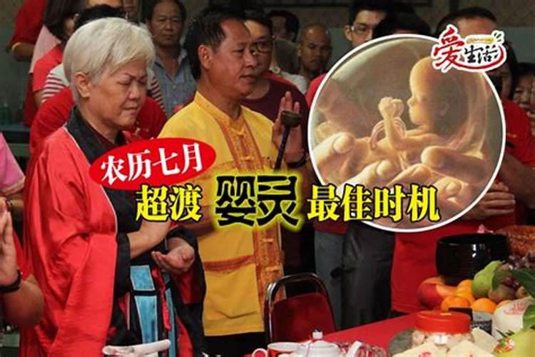 2025年属猪的全年运势