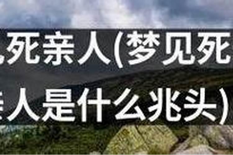 2025年北京正月十五去哪里看花灯