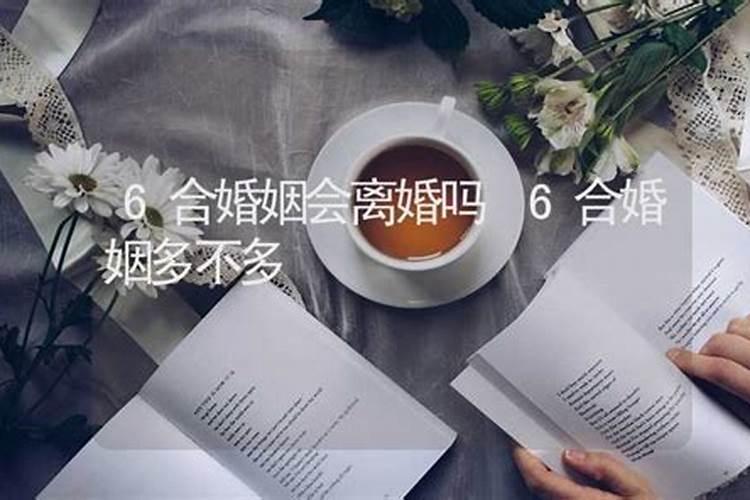 属鼠的人2025年运势及运程