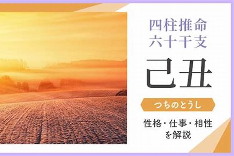 有什么因果报应