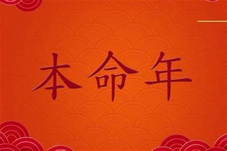 1982年属狗女2025年的运势和婚姻状况