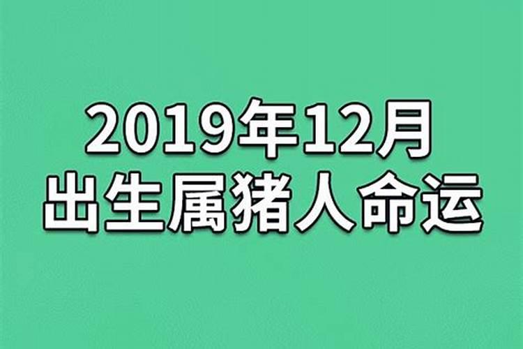 腊月猪命苦属猪十二月出生的命运？