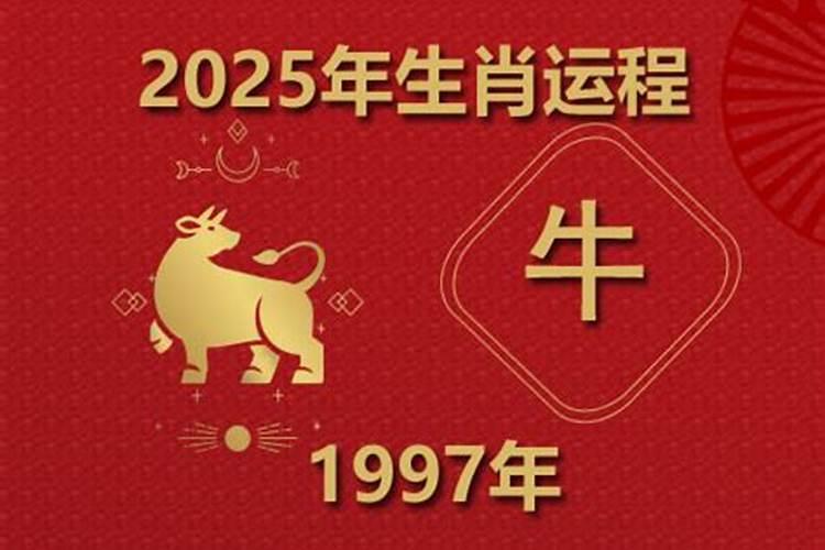 1997年属牛2025年运势及运程