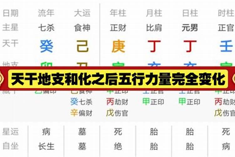 什么天干地支相合是富贵命命运发展