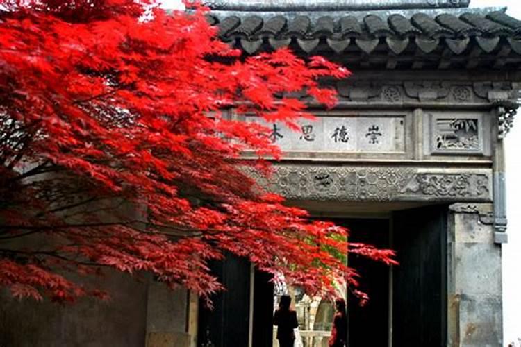天干合化解析与命理影响分析