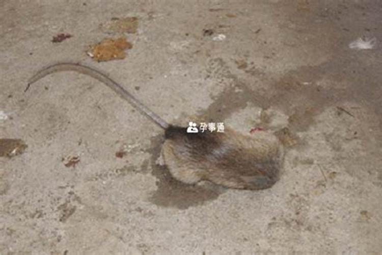 文昌位如何找