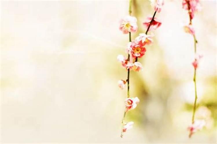 寒衣节和冬至节的区别