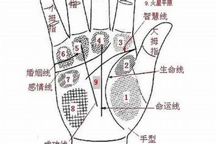 孕妇梦见老公出轨胎梦怎么判断男女
