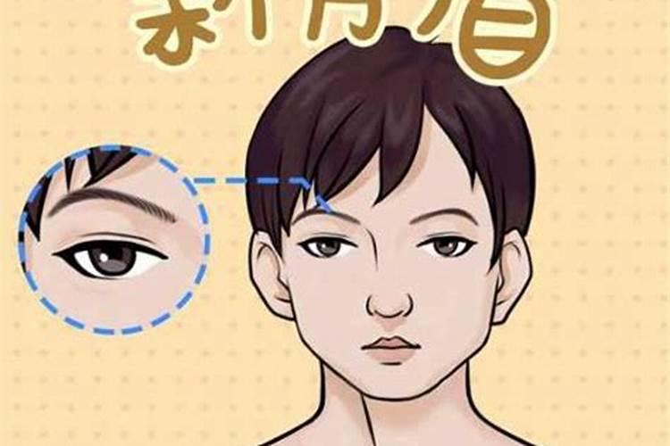 梦见杀马吃马肉是什么意思