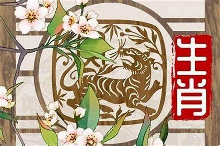 属虎女本命年结婚好不好 虎眼石增旺婚姻运？